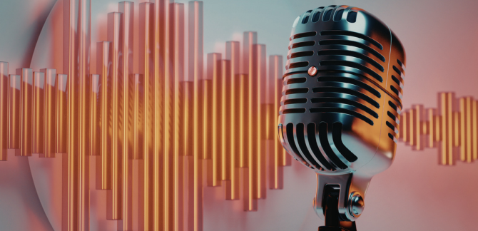 VOICE SEARCH OPTIMISATION